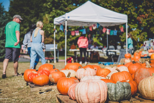 Pumpkins For Sale